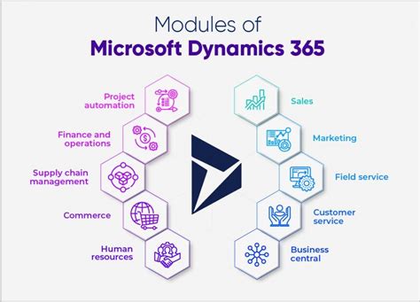 Dynamics 365: The basics .